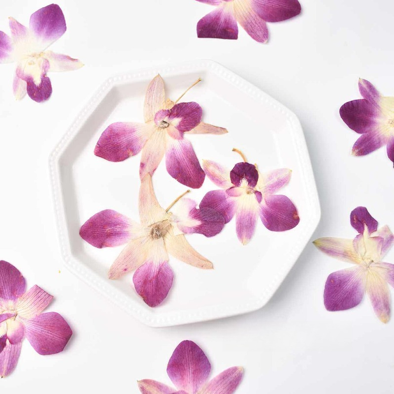 4pcs,Real Pressed Butterfly Or - Resin Art Frame ulasan dan harga