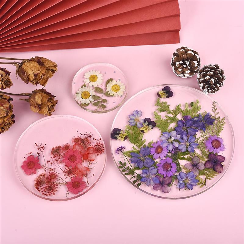 Round Square Rectangle Shape C - Coaster Mold Square ulasan dan harga